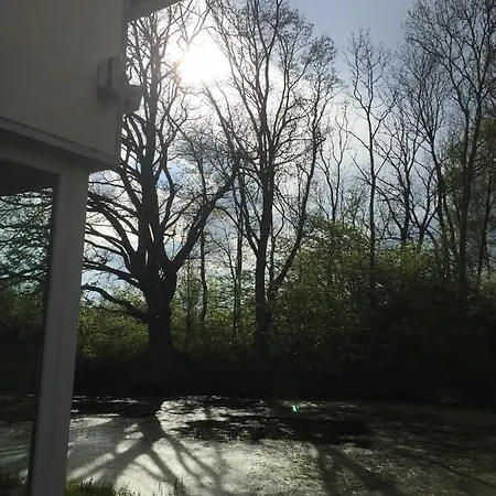 Parkblick Gruener Salon Apartment Satow