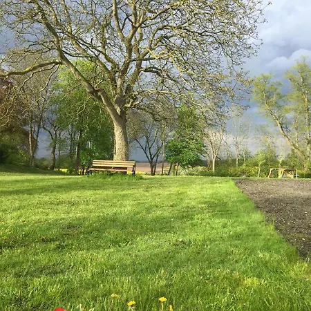 Parkblick Gruener Salon