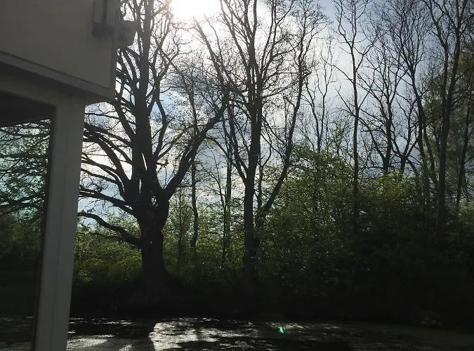 Parkblick Gruener Salon Apartment Satow