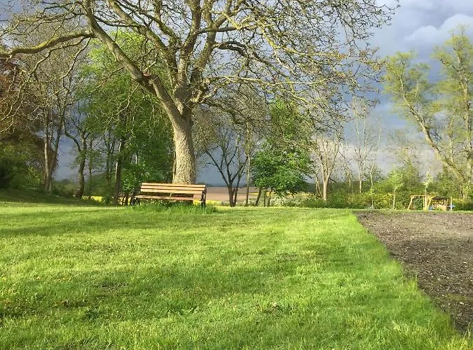 Parkblick Gruener Salon